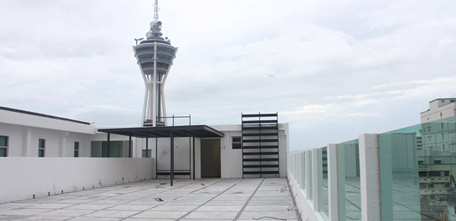 Roof Top Garden