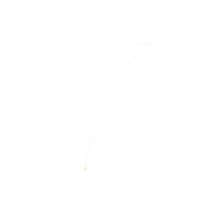 Fuller Hotel Logo